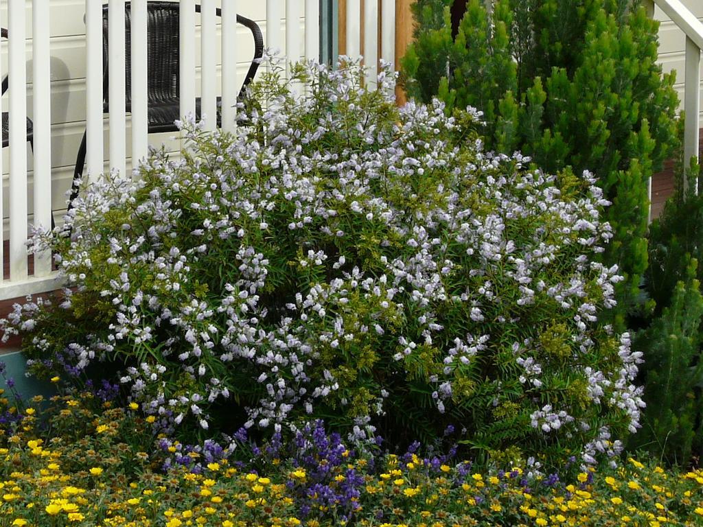 Avoca Cottages Victoria ภายนอก รูปภาพ