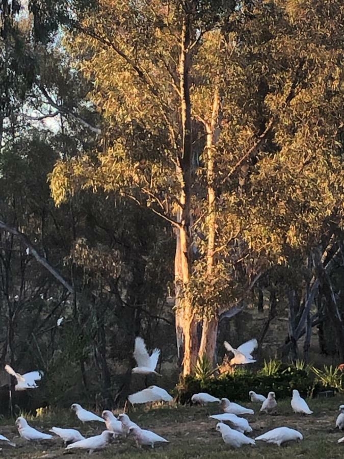 Avoca Cottages Victoria ภายนอก รูปภาพ